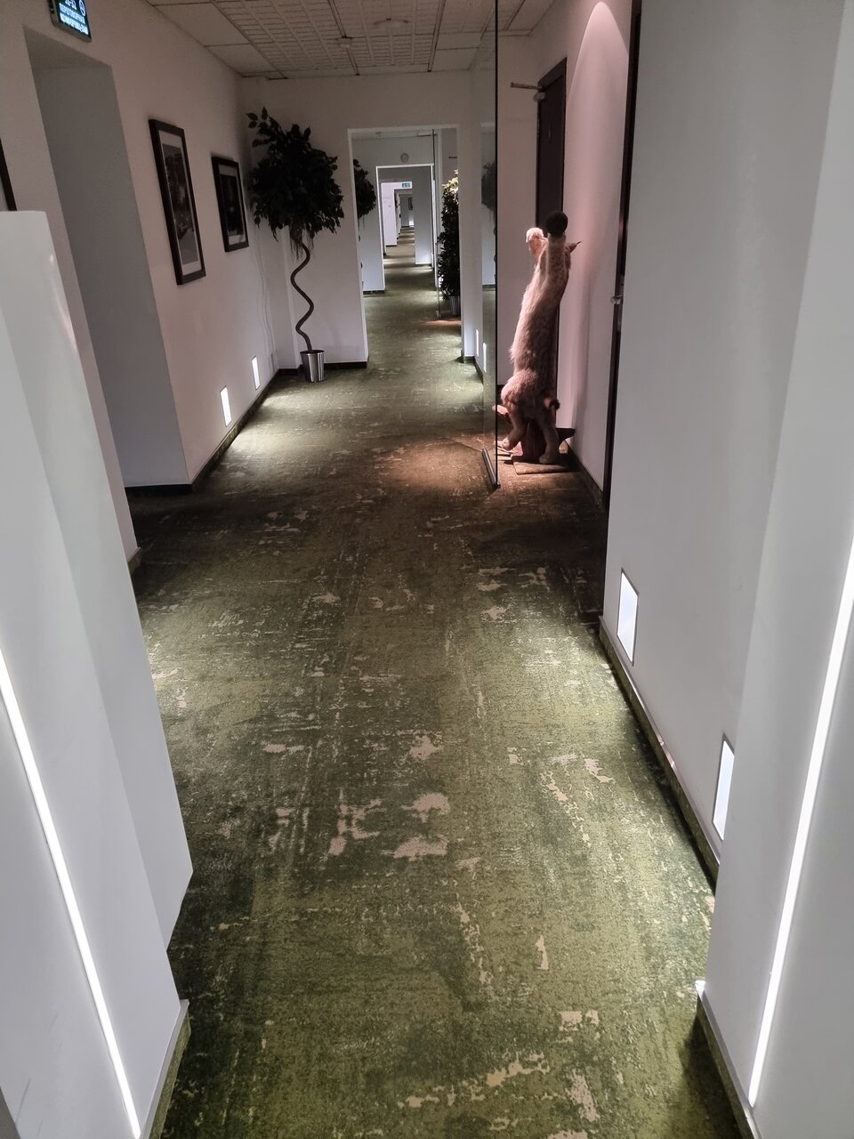 Гостиница Петровский Пассаж Воронеж-101