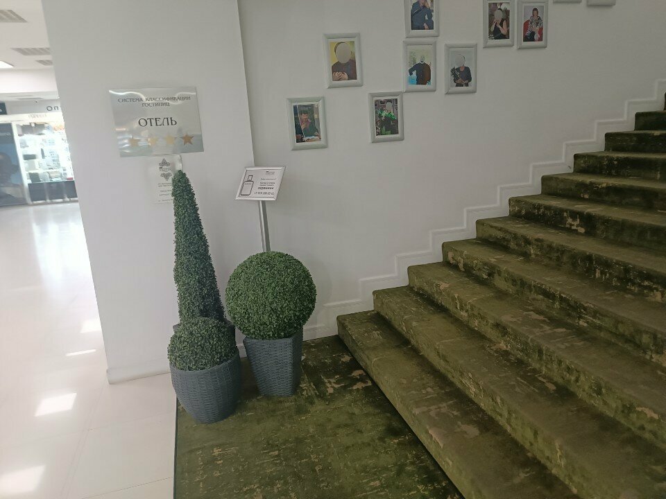 Гостиница Петровский Пассаж Воронеж-222