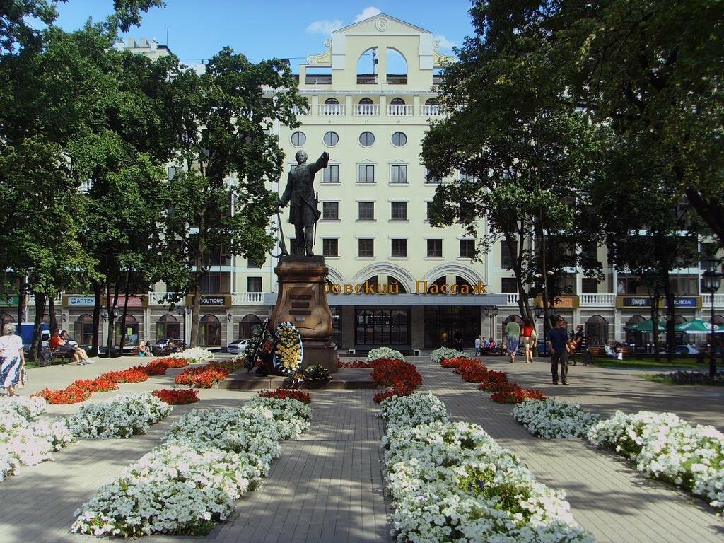 Гостиница Петровский Пассаж Воронеж-123
