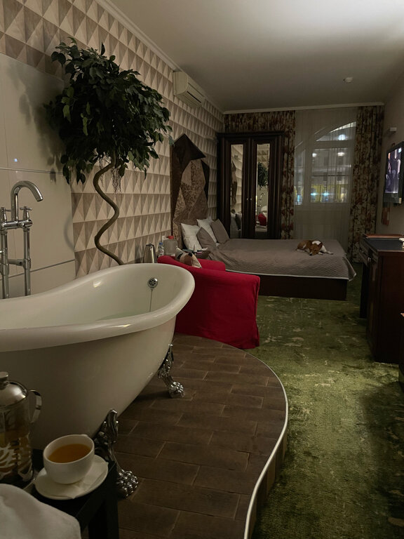 Гостиница Петровский Пассаж Воронеж-92