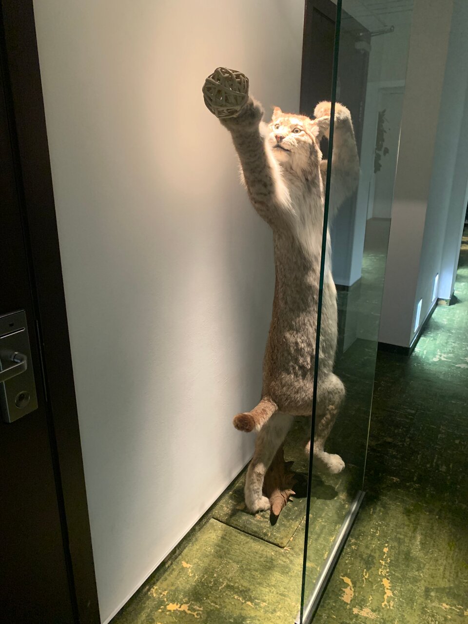 Гостиница Петровский Пассаж Воронеж-78