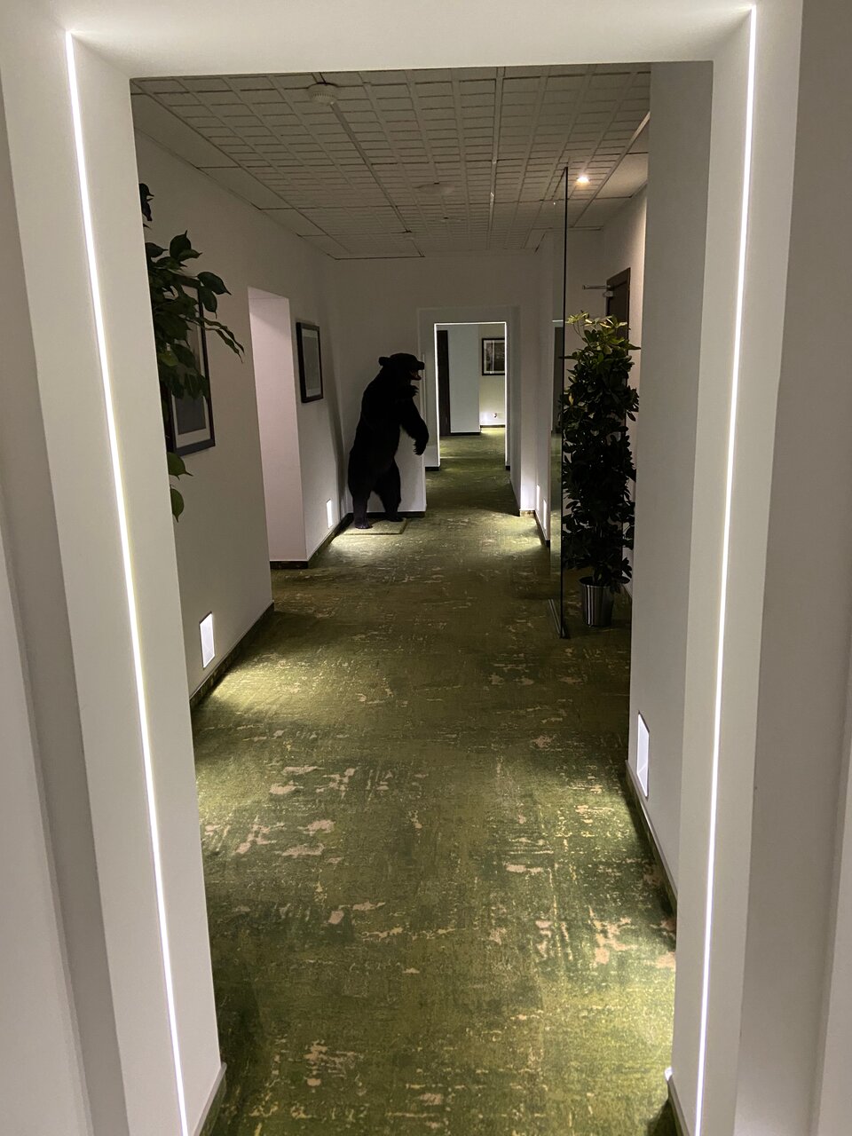 Гостиница Петровский Пассаж Воронеж-68