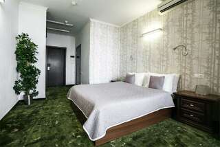 Гостиница Петровский Пассаж Воронеж Стандартный двухместный номер с 1 кроватью-1