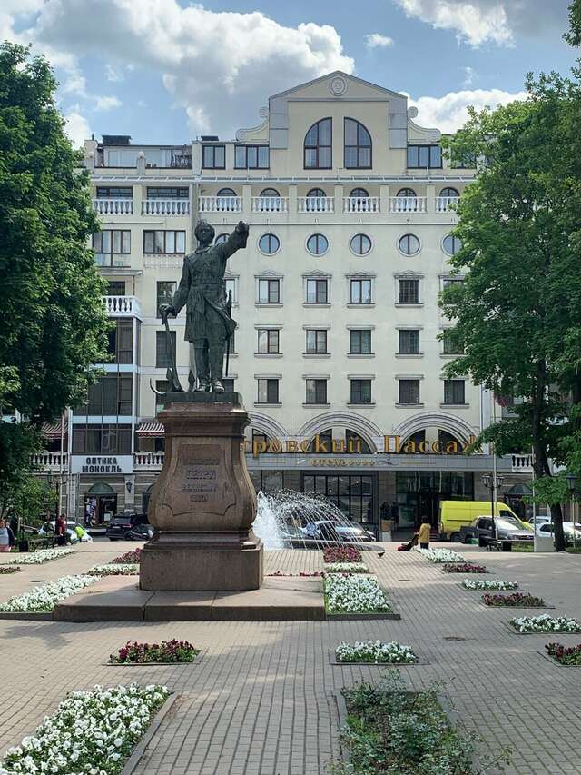 Гостиница Петровский Пассаж Воронеж-107