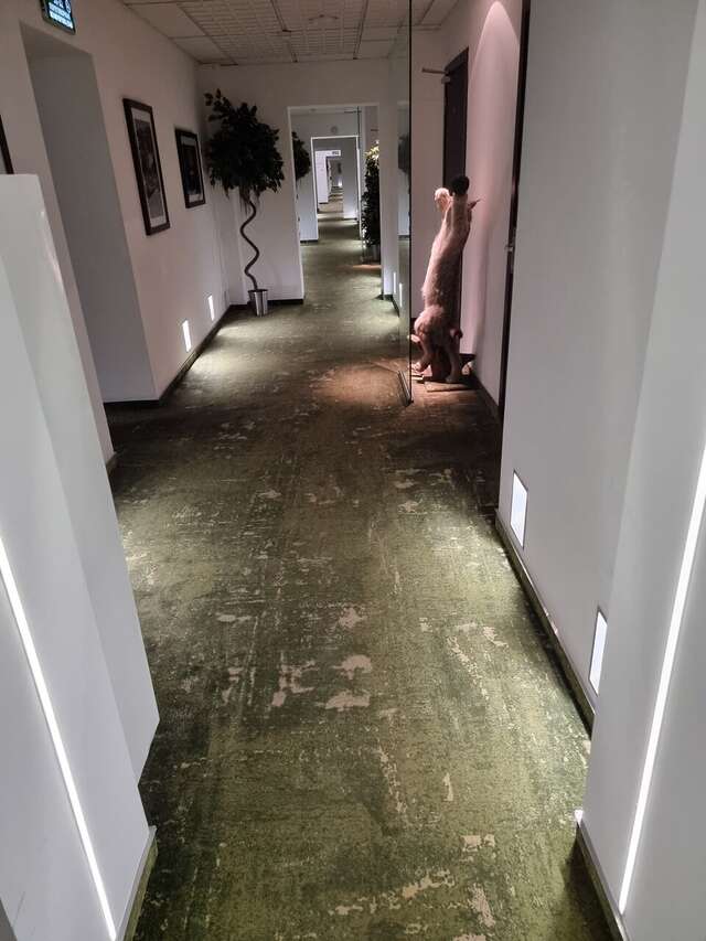 Гостиница Петровский Пассаж Воронеж-100