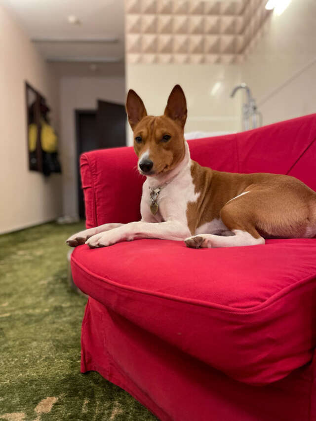 Гостиница Петровский Пассаж Воронеж-92