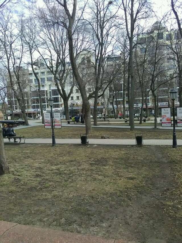 Гостиница Петровский Пассаж Воронеж-25