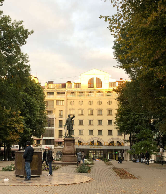 Гостиница Петровский Пассаж Воронеж-26