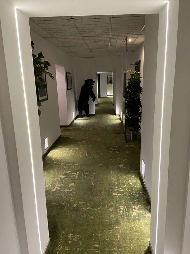 Гостиница Петровский Пассаж Воронеж-67